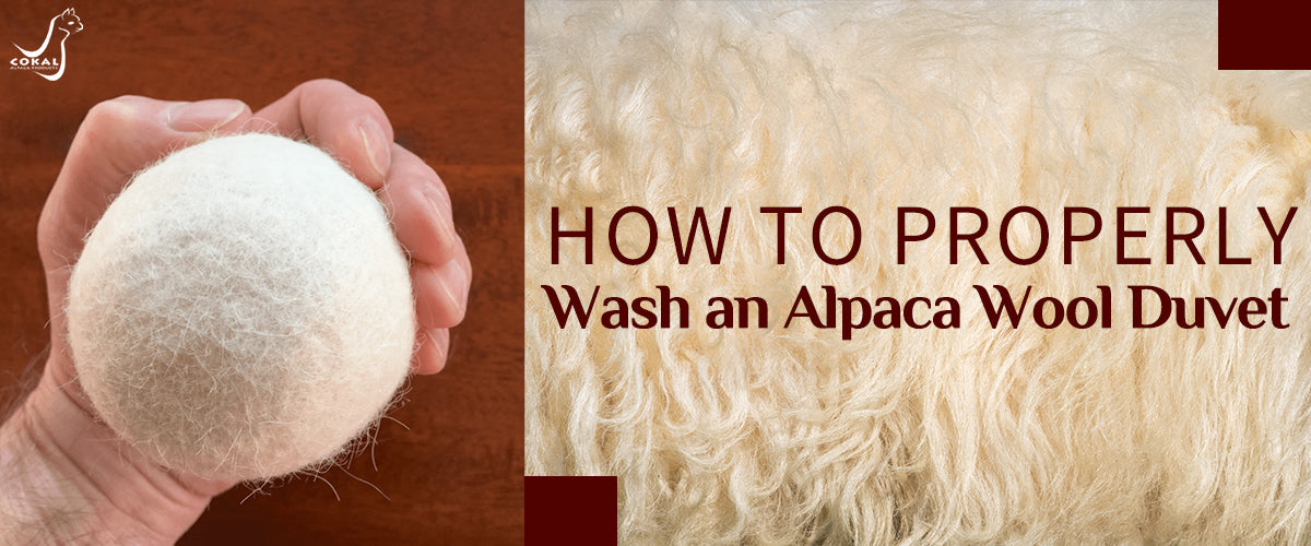How to Properly Wash an Alpaca Wool Duvet