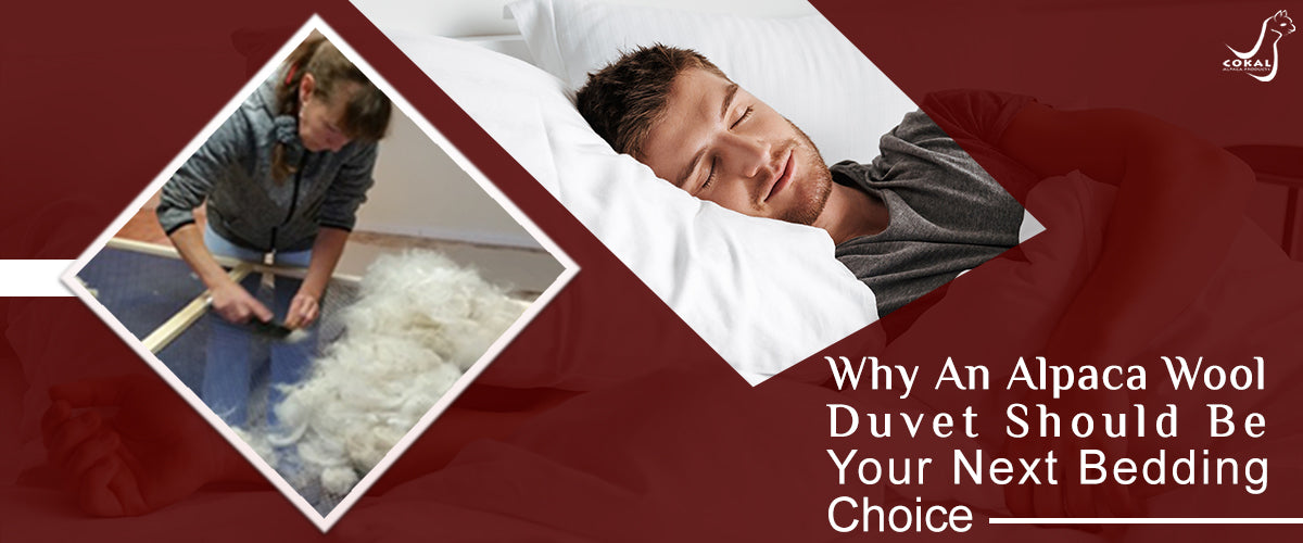 Why An Alpaca Wool Duvet Should Be Your Next Bedding Choice