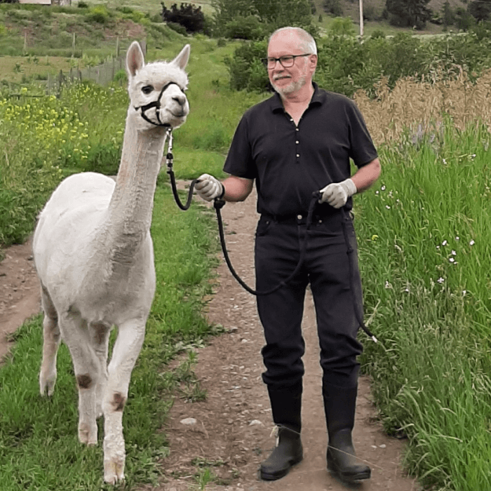 Life on our alpaca ranch